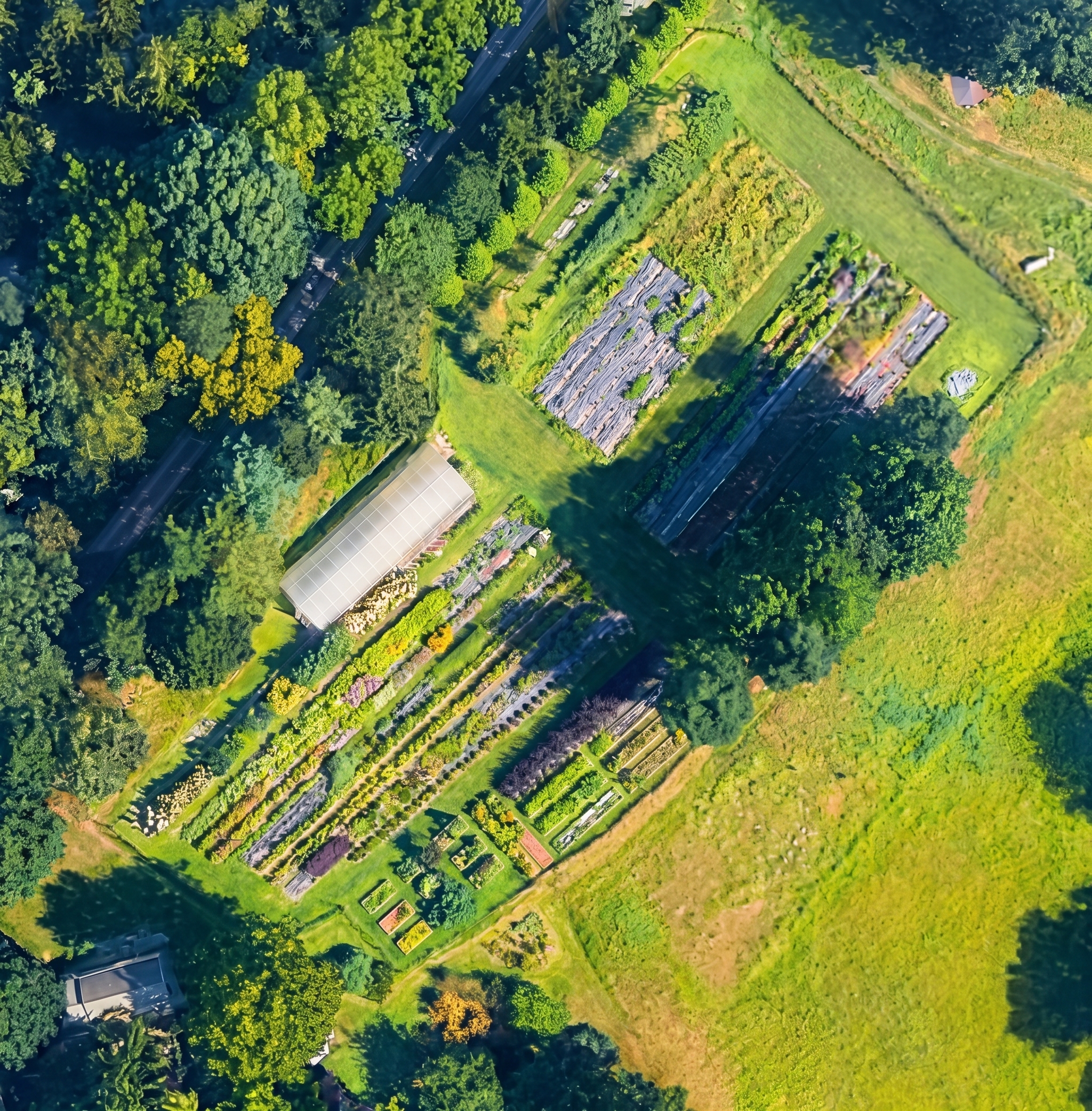 The flower field at Hidden Ridge Farm